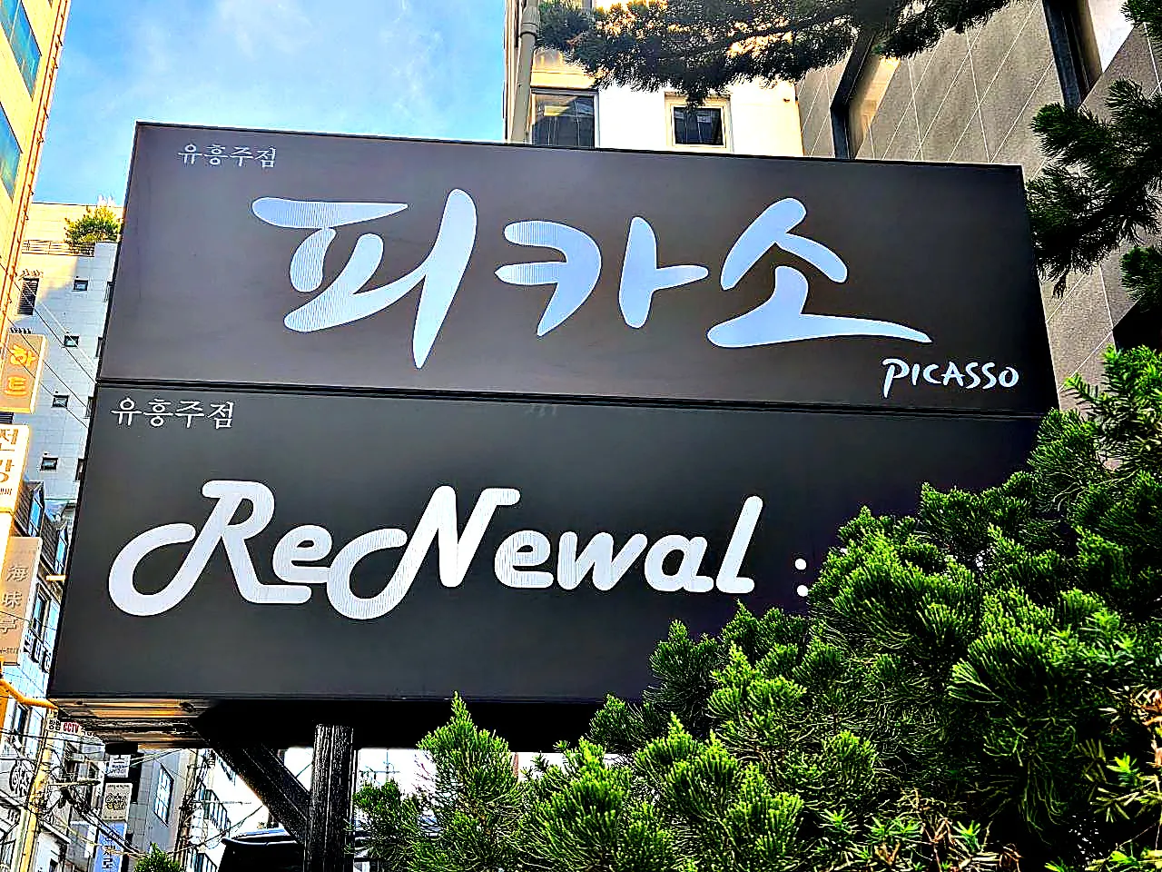 피카소(PICASSO)라고 쓴 강남 피카소 검은 입간판 전체를 길에서 올려다본 사진